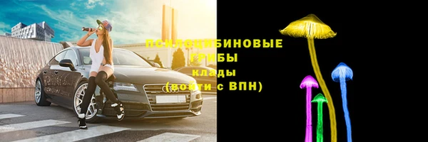 дурь Чердынь
