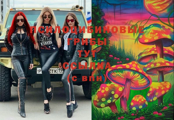 дурь Чердынь