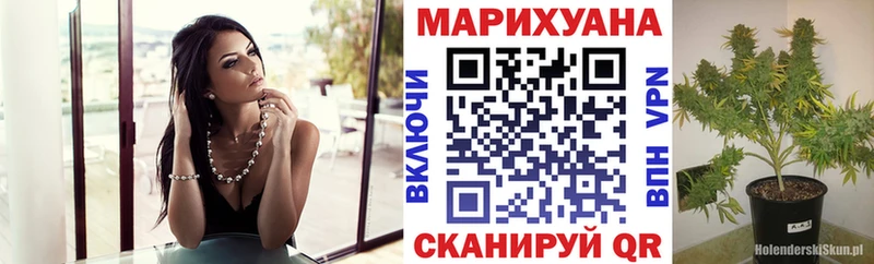 Марихуана сатива  даркнет наркотические препараты  Беломорск 